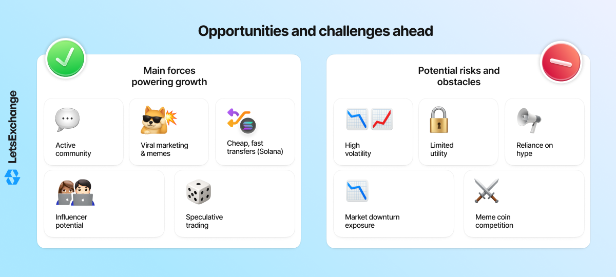FARTCOIN opportunities and challenges ahead